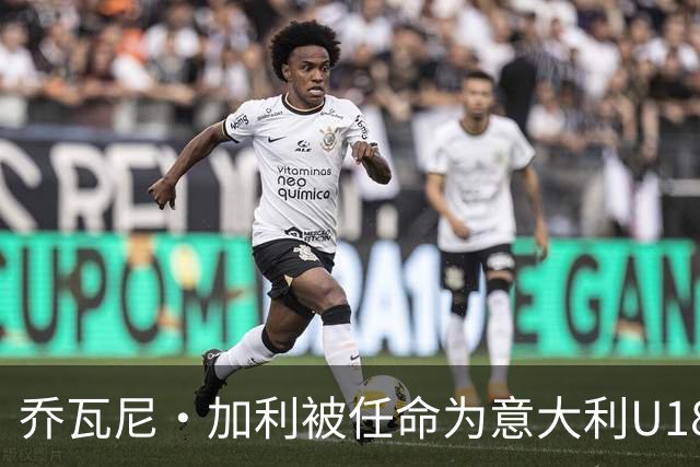 乔瓦尼·加利被任命为意大利U18国家队新领队